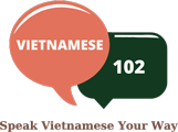 Vietnamese 102